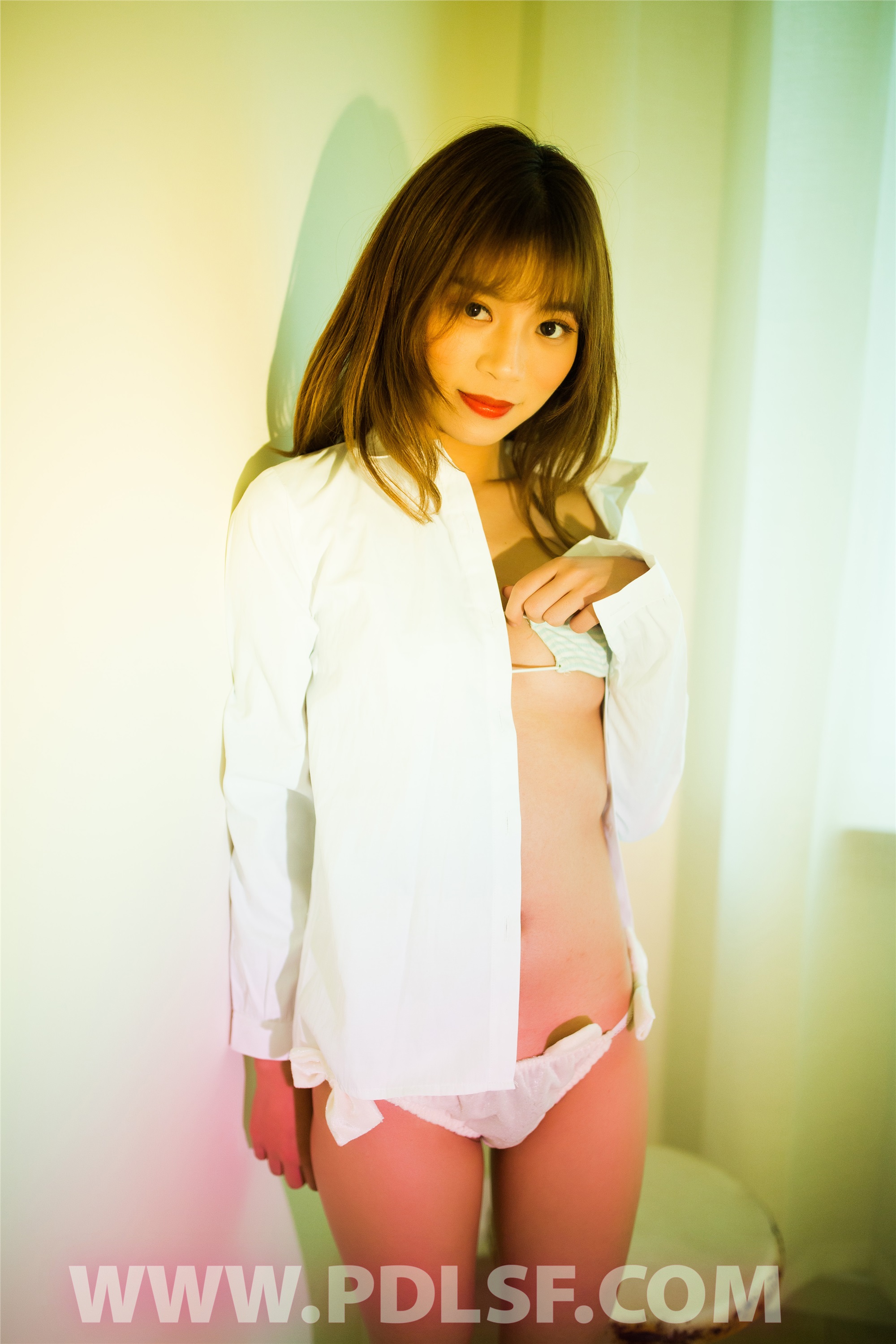 PDL潘多拉 2020.02.09 专辑No.278